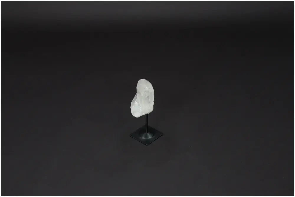 orbitvu|type:image2d