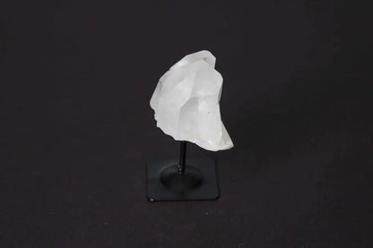 orbitvu|type:image2d