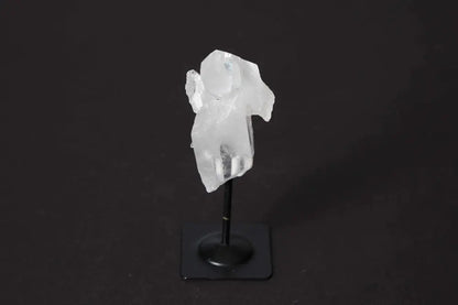 orbitvu|type:image2d
