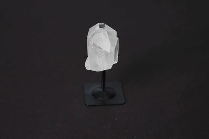 orbitvu|type:image2d
