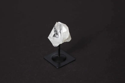 orbitvu|type:image2d