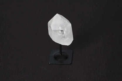orbitvu|type:image2d