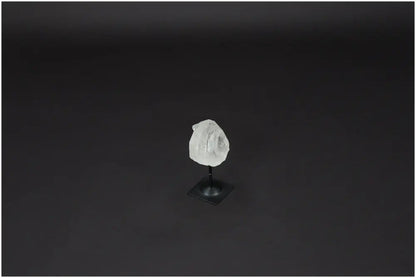 Lemurian Quartz on metal stand against a dark background, exemplifying its purification and harmonizing qualities.