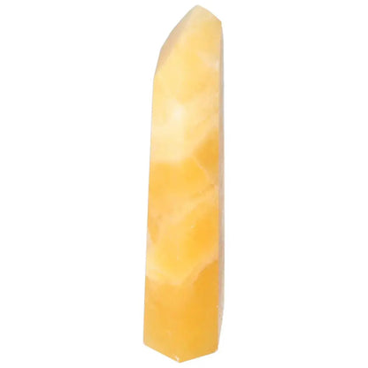 orbitvu|type:image2d
