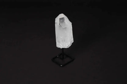 orbitvu|type:image2d