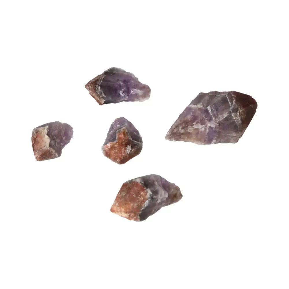"Natural Point Amethyst L gemstones showcasing premium handpicked quality from Sylvia Crystals, ideal for enhancing spiritual tranquility."