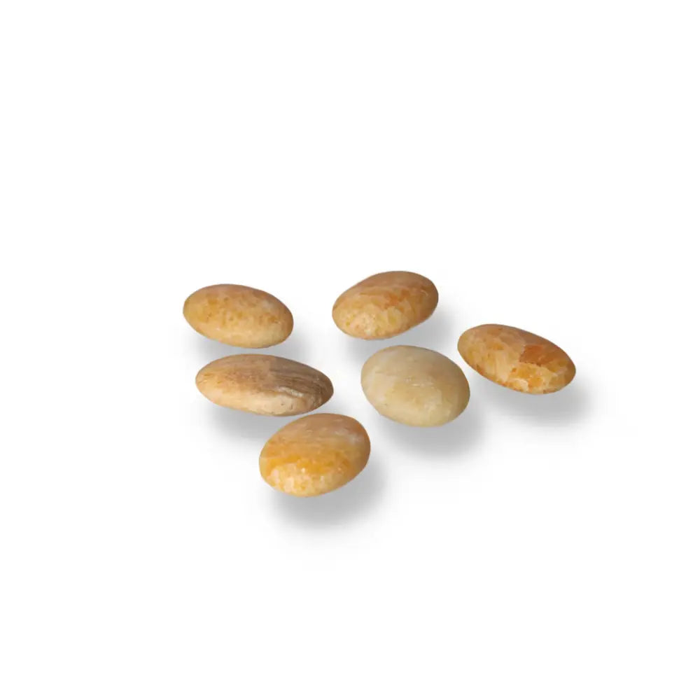 orbitvu|type:ORBITVU 360|https://orbitvu.co/share/jatN39rHADShSFTUjE49Hd/6471164/360/iframe