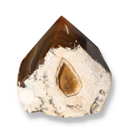 Polished Agate Point from Sylvia Crystals showcasing its vibrant, earthy tones and natural beauty, ideal for spiritual enhancement.