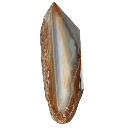 Exquisite polished agate point from Sylvia Crystals, showcasing vibrant earthy tones and a smooth finish for energy harmonization and luxury.