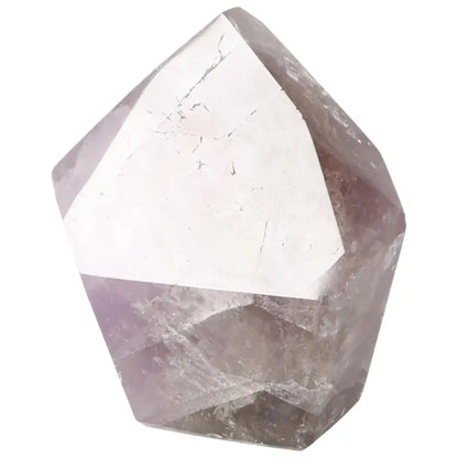 orbitvu|type:image2d