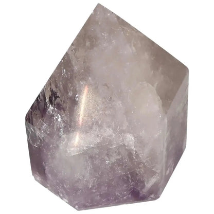 orbitvu|type:image2d