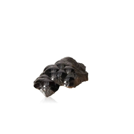 Polished Botryoidal Hematite crystal cluster with metallic shine, enhancing protection and emotional balance.