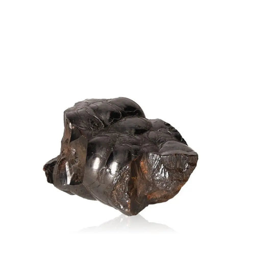 Polished botryoidal hematite crystal cluster with metallic shimmer and dense iron-rich formations on a white background.