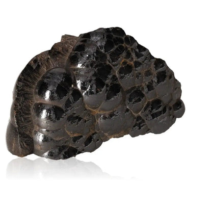 Polished botryoidal hematite crystal cluster for energy balance and protection.