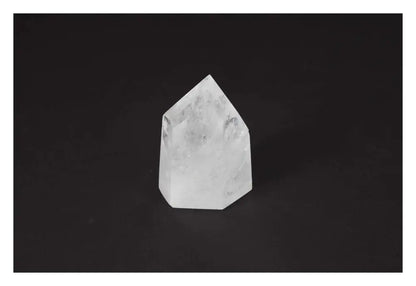 orbitvu|type:image2d