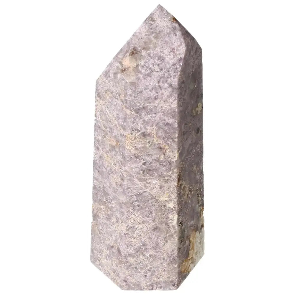orbitvu|type:image2d