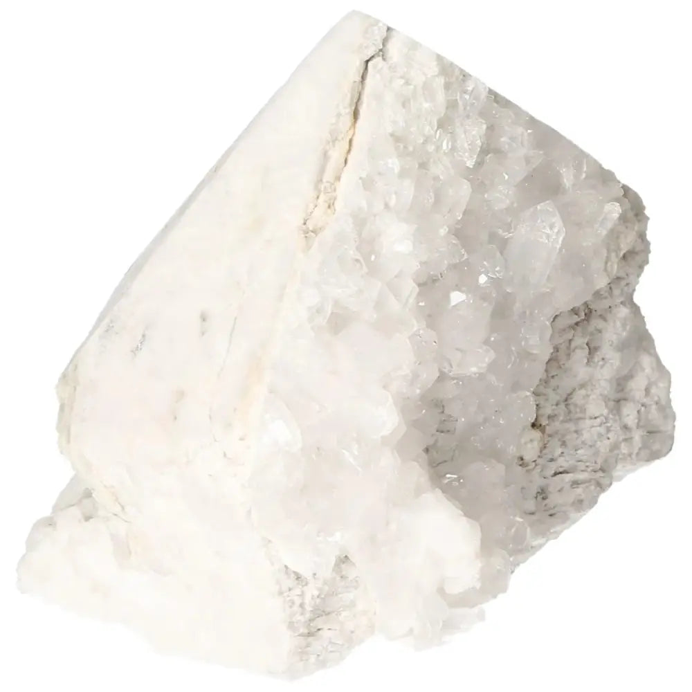 orbitvu|type:image2d