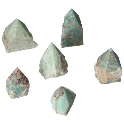 orbitvu|type:image2d