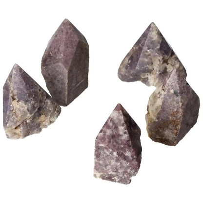 Polished Point Lepidolite S gemstones from Sylvia Crystals showcasing calming properties and elegant design in a serene arrangement.