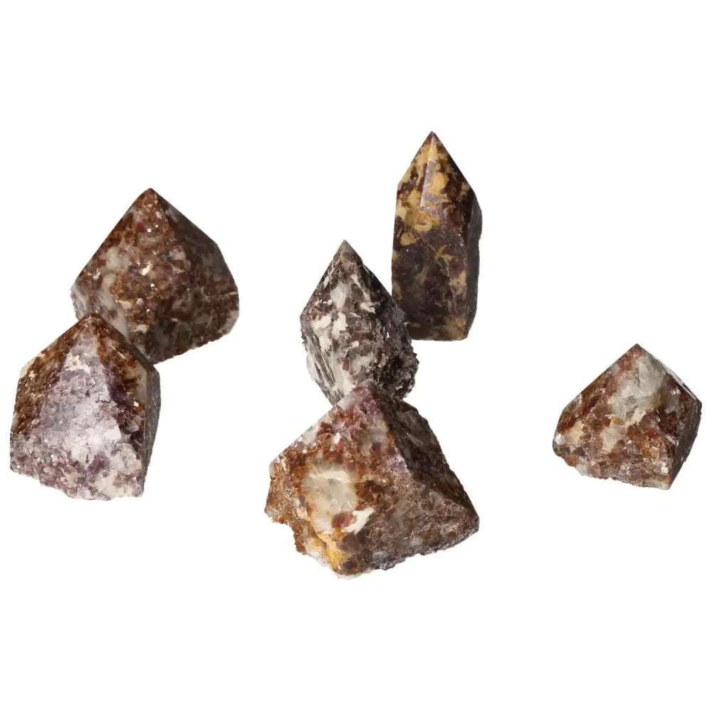 orbitvu|type:image2d