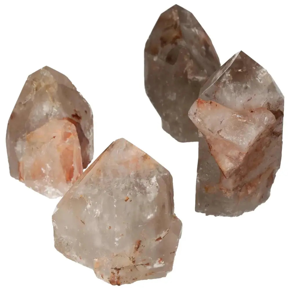 orbitvu|type:image2d