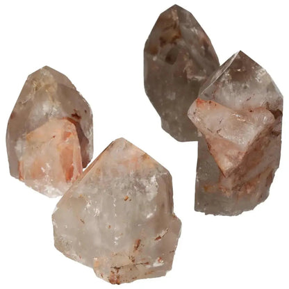 orbitvu|type:image2d