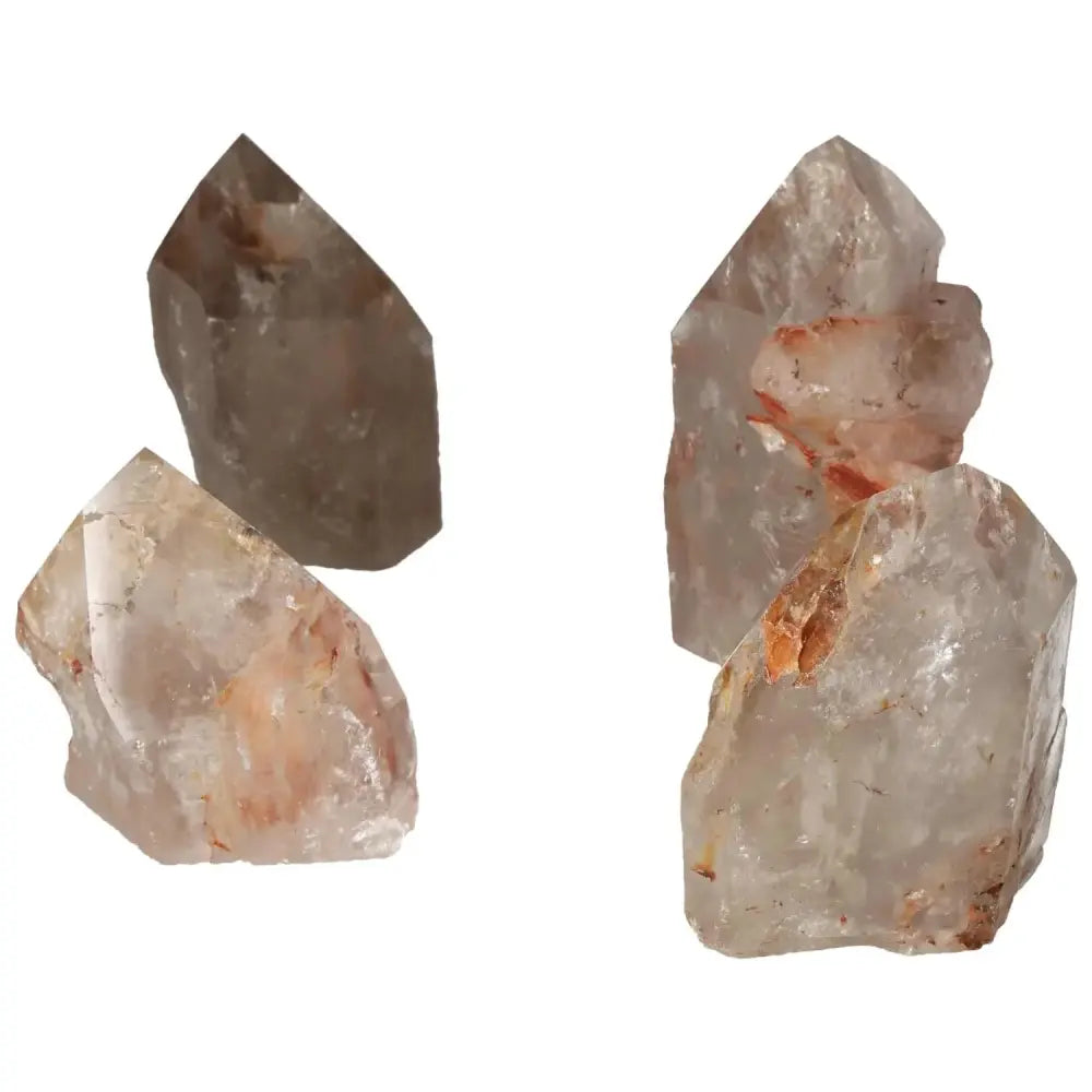 orbitvu|type:image2d