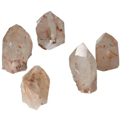 orbitvu|type:image2d