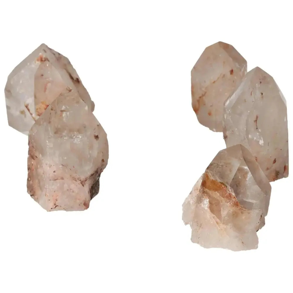 orbitvu|type:image2d