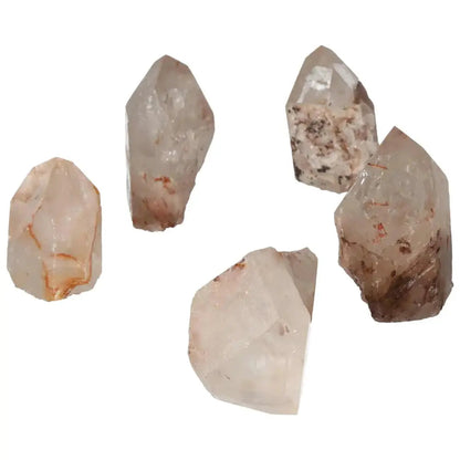 orbitvu|type:image2d