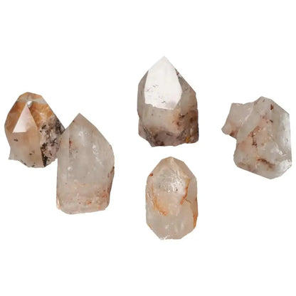 orbitvu|type:image2d