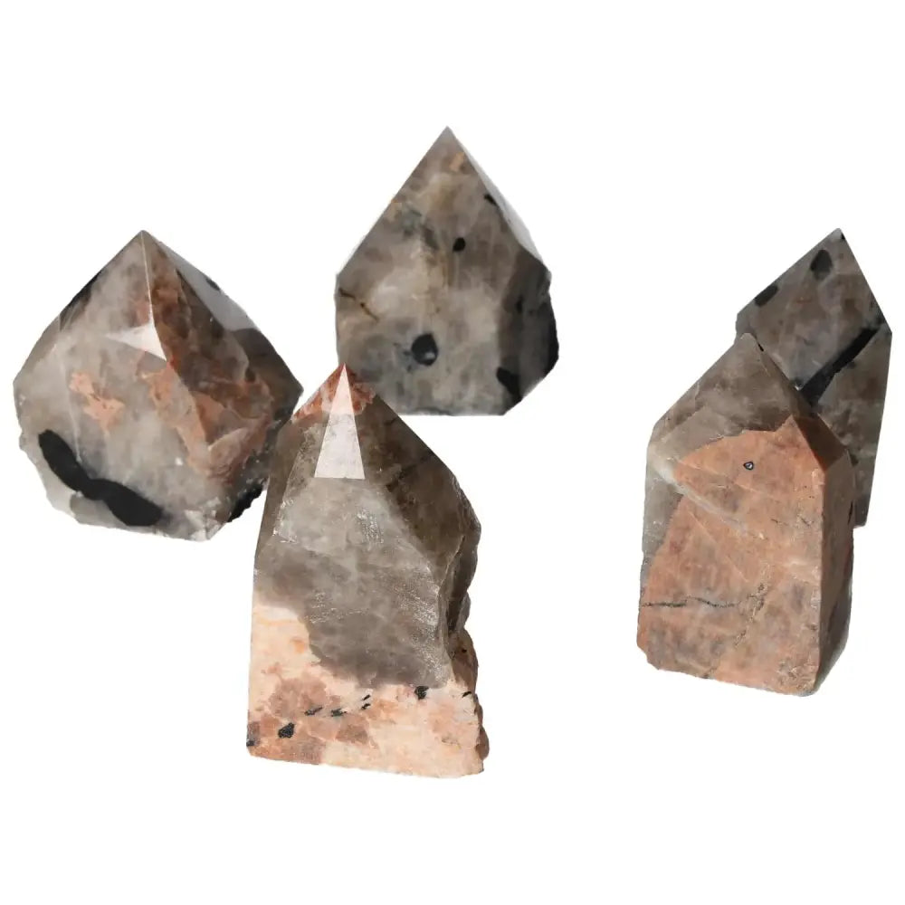 orbitvu|type:image2d