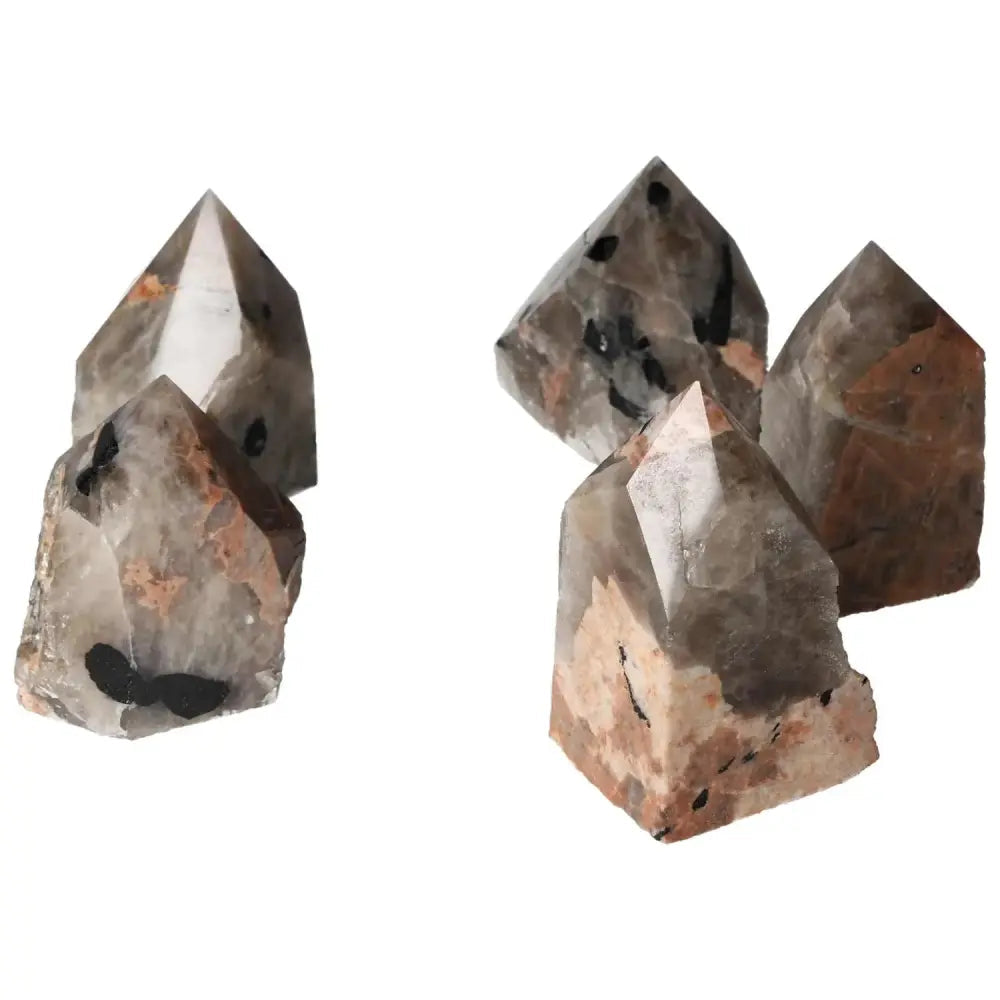 orbitvu|type:image2d