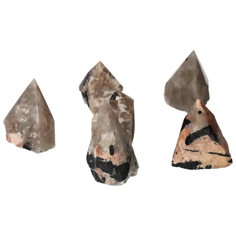 orbitvu|type:image2d