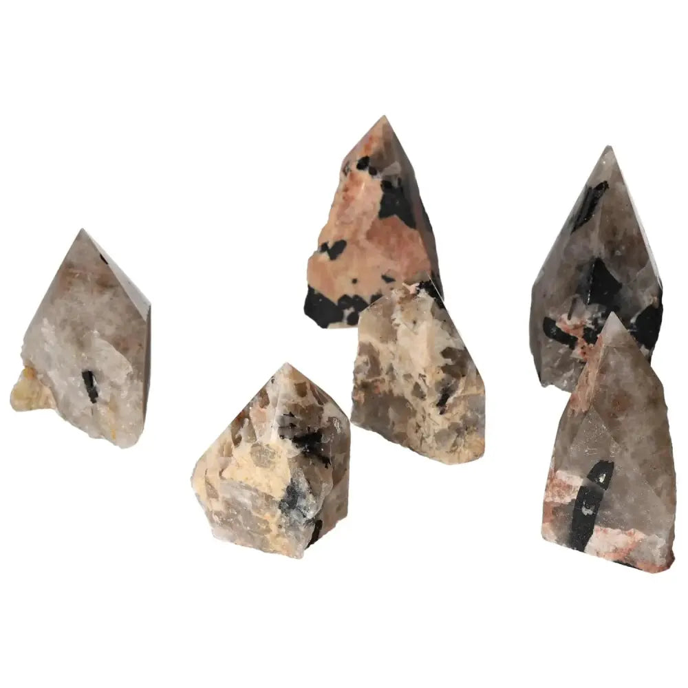 orbitvu|type:image2d