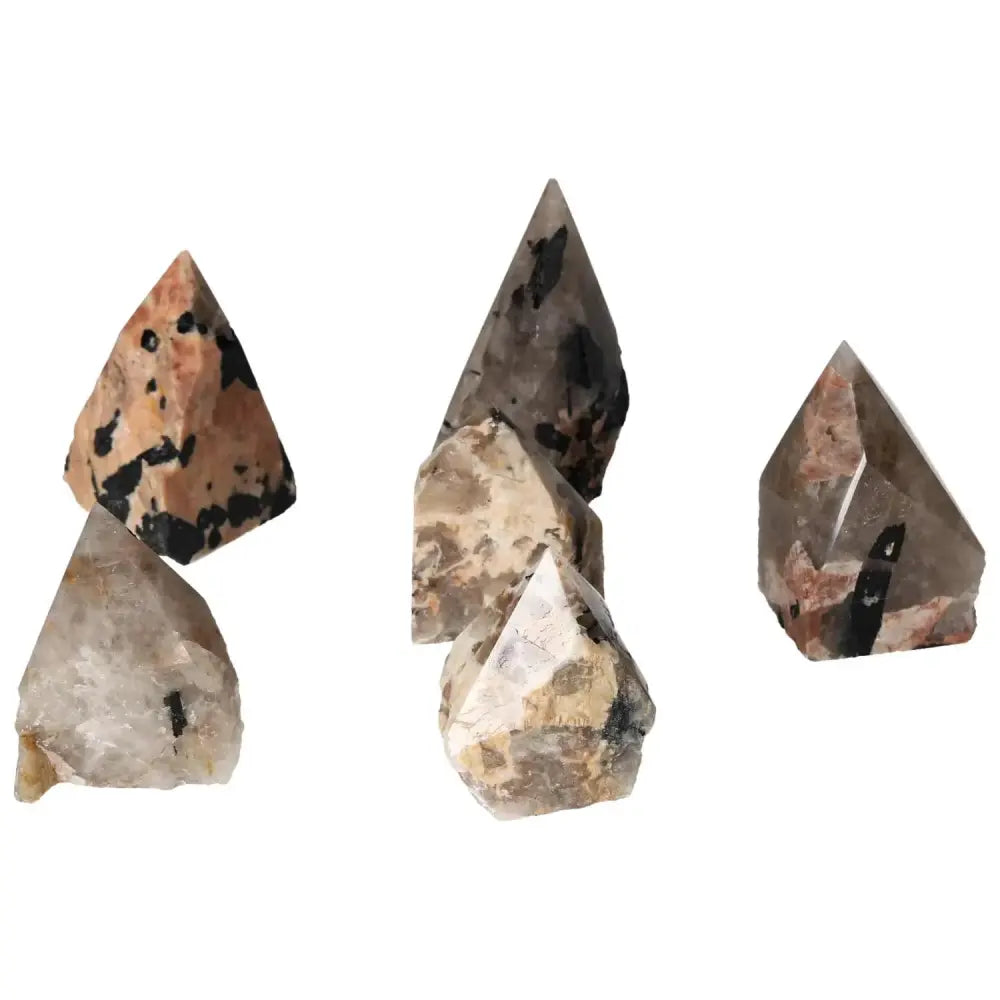 orbitvu|type:image2d