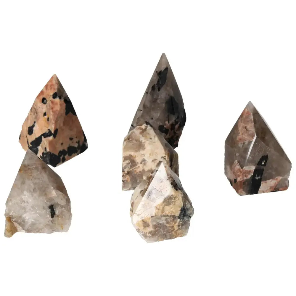 Polished Point Quartz With Tourmaline S, featuring striking linear tourmaline patterns, symbolizing luxury and elegance from Sylvia Crystals.