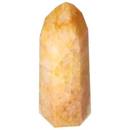 orbitvu|type:image2d