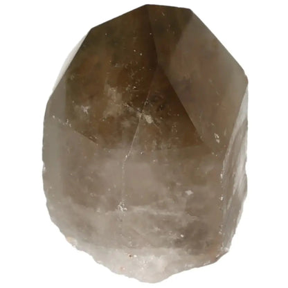 Polished Smoky Quartz Point with elegant finish highlighting earthy tones and protective energy from Sylvia Crystals.