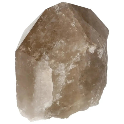 Polished Smoky Quartz Point crystal showcasing natural beauty and grounding energy, available at Sylvia Crystals.