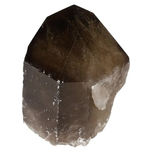 Polished Smoky Quartz Point by Sylvia Crystals with grounding energy and luxurious finish for emotional balance and protection.