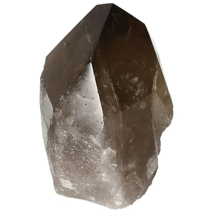 Polished Smoky Quartz Point crystal from Sylvia Crystals, known for grounding energy and protective healing properties.