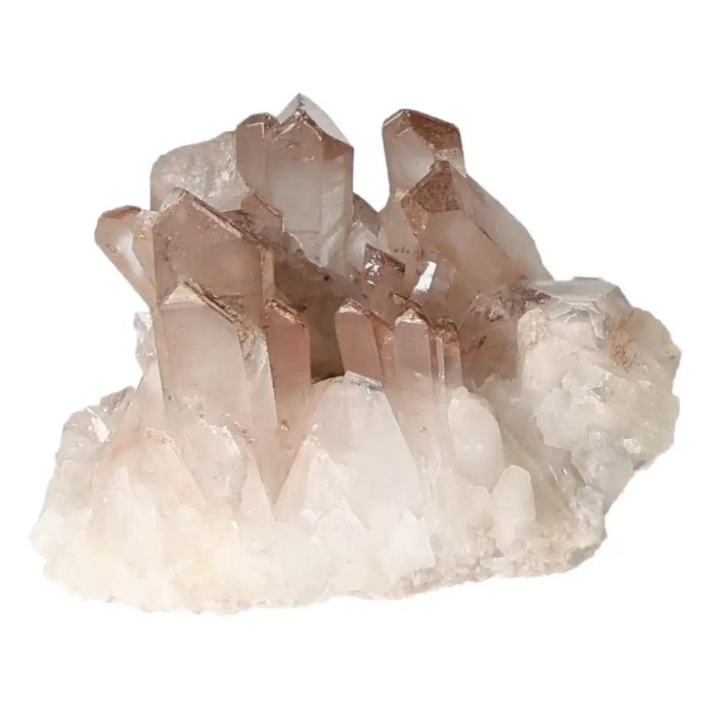 orbitvu|type:ORBITVU 360|https://orbitvu.co/share/gEZzbeYL2wFBn8EMzNHzJ6/6530720/360/iframe