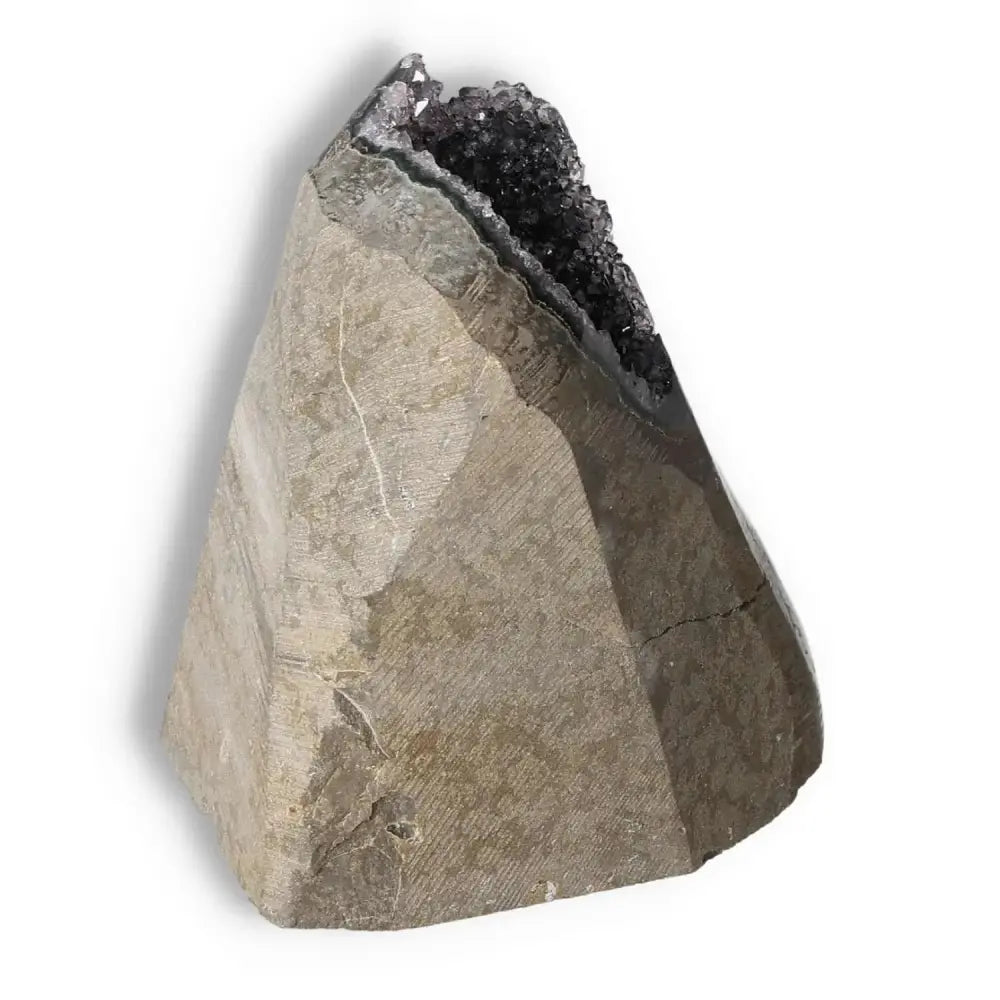 orbitvu|type:image2d