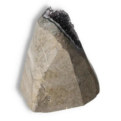 orbitvu|type:image2d