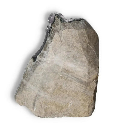 orbitvu|type:image2d