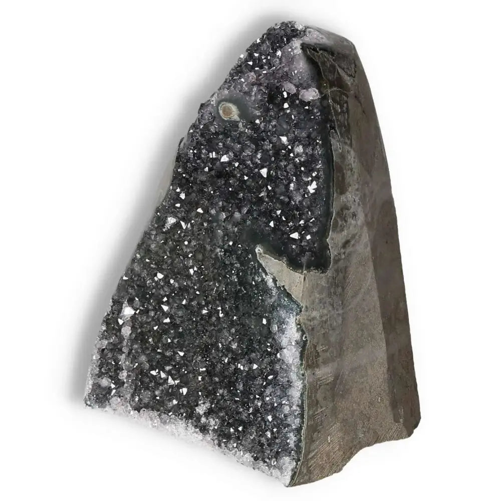 orbitvu|type:image2d