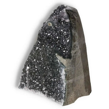 orbitvu|type:image2d