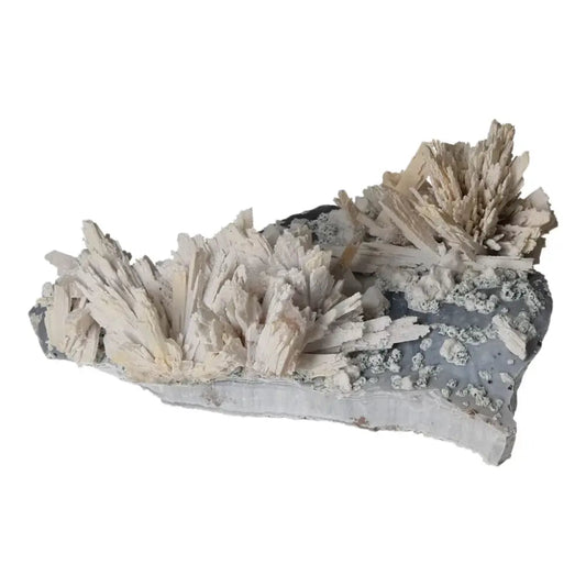 Quartz pseudomorph after zeolite mineral specimen, showcasing white crystal formations on a rock base from Sylvia Crystals.