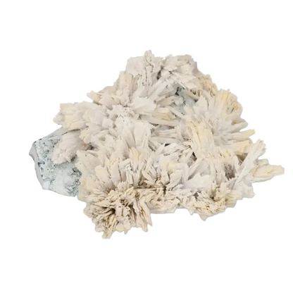 Quartz pseudomorph after zeolite mineral specimen showcasing rare transformation from Sylvia Crystals.